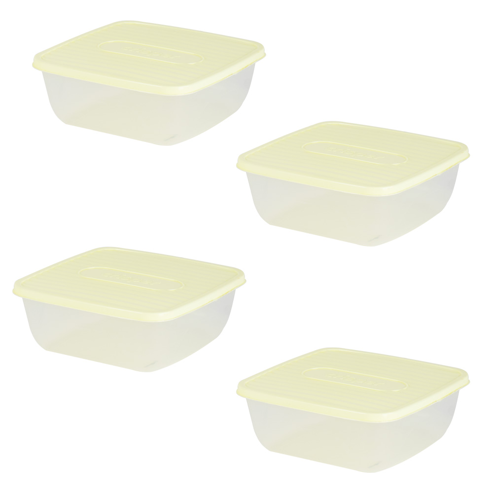 Durane Plastic Container Set 4pc Crisper Square 609 22cm Image
